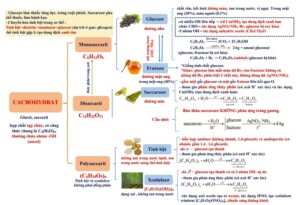  Hệ Thống Sơ Đồ Tư Duy Hóa Học Lớp 10, 11, 12 Chi Tiết
